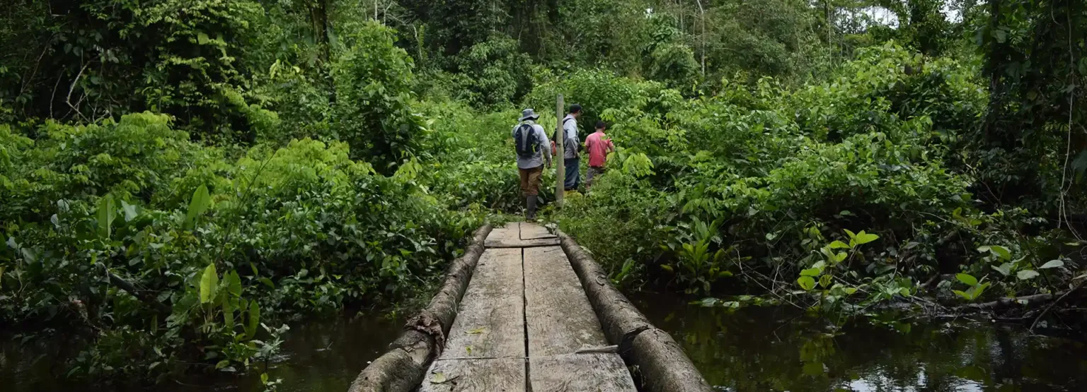 Estudios de Impacto Ambiental
