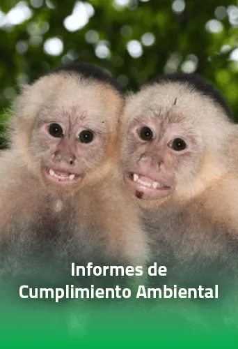 Informes de cumplimiento ambiental