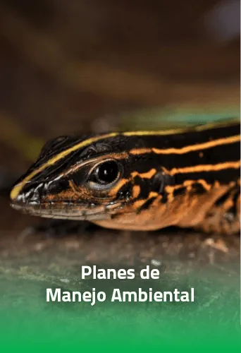 Planes de Manejo Ambiental PMA
