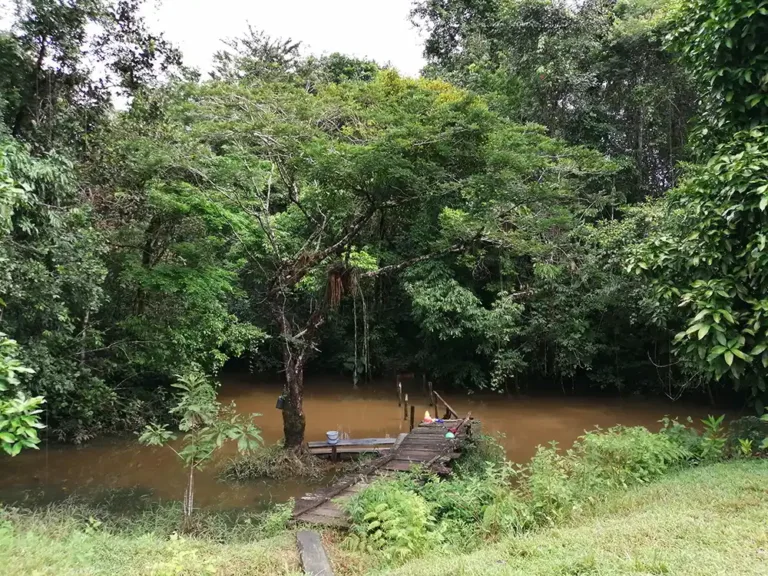 Planes de Manejo Ambiental en Colombia