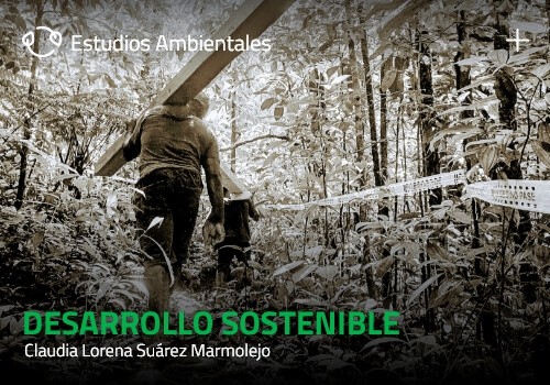 Miniatura Blog Desarrollo Sostenible