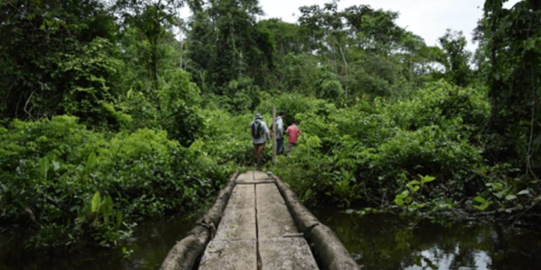 Estudios de Impacto Ambiental en Colombia