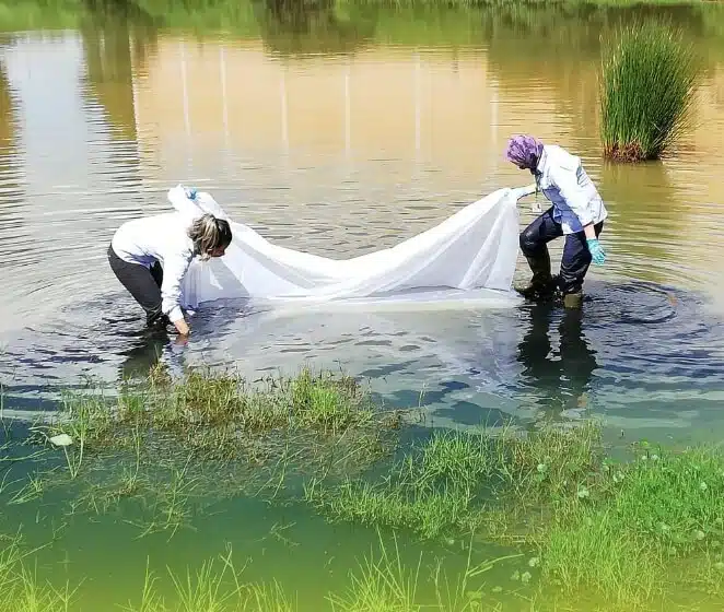 Nuestros Valores Corporativos Estudios e Ingeniería Ambiental EIA