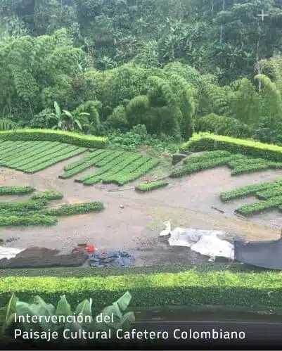 Miniatura Intervención Paisaje Cultural Colombiano