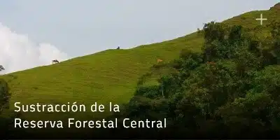Miniatura Sustracción de la Reserva Forestal Central