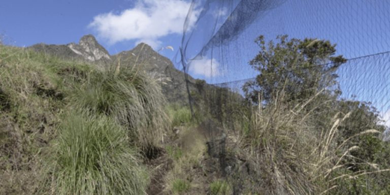 Planes de manejo ambiental
